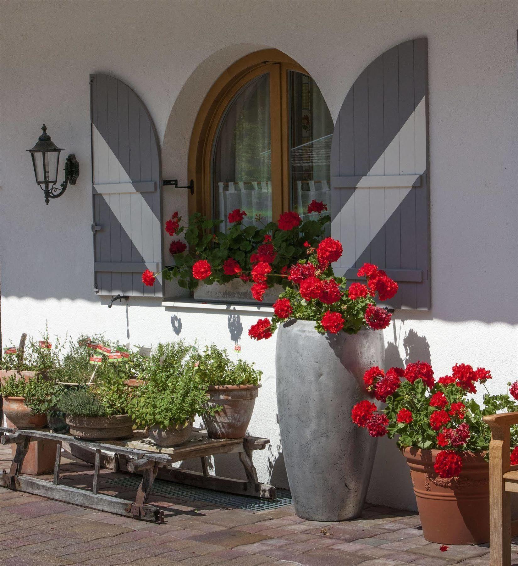 Ferienappartements Landhof Ellmau Kültér fotó